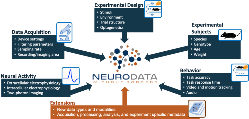 NWB Data Types